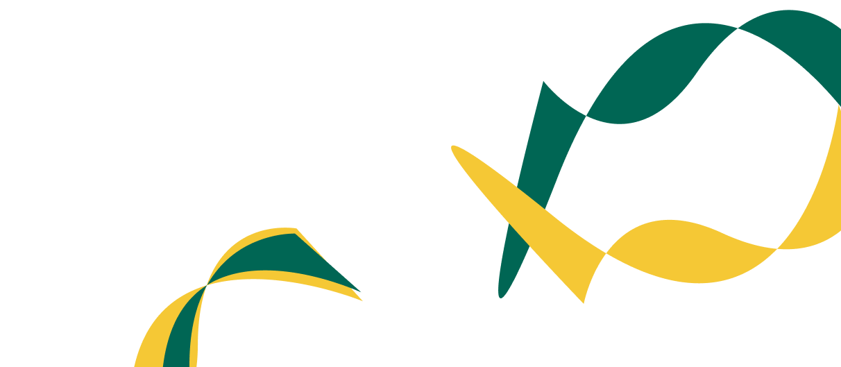 Expert Solutions for Corporate  Financial Success. - 世界杯投注